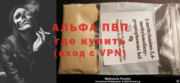 стаф Аркадак