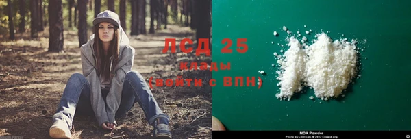 стаф Аркадак
