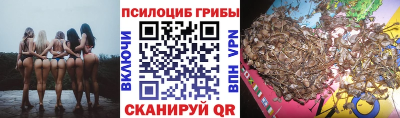 купить закладку  это Telegram  Псилоцибиновые грибы прущие грибы  Спас-Деменск 